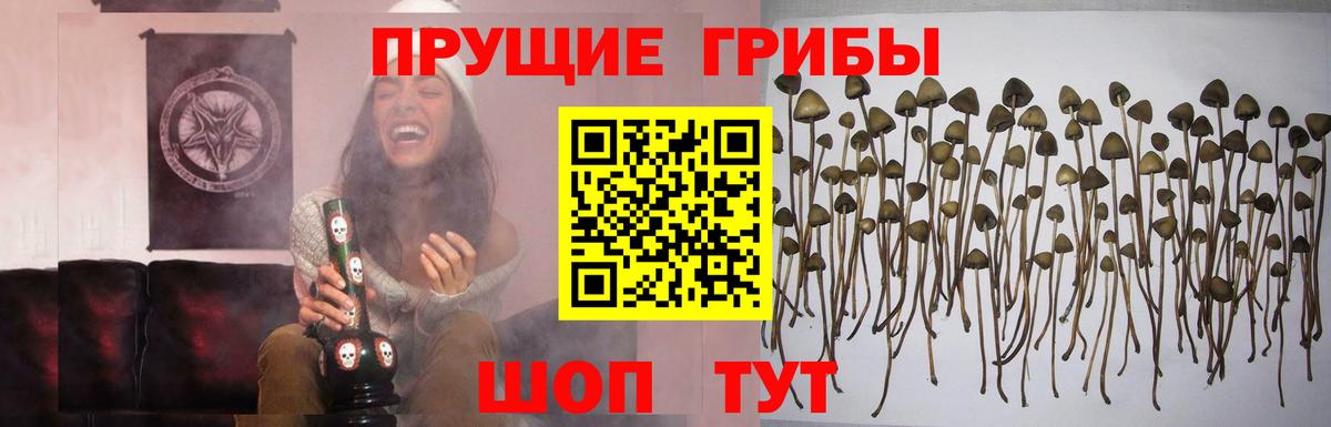 Псилоцибиновые грибы Cubensis  Вход с VPN  Галлюциногенные грибы Magic Shrooms  Кемерово 
