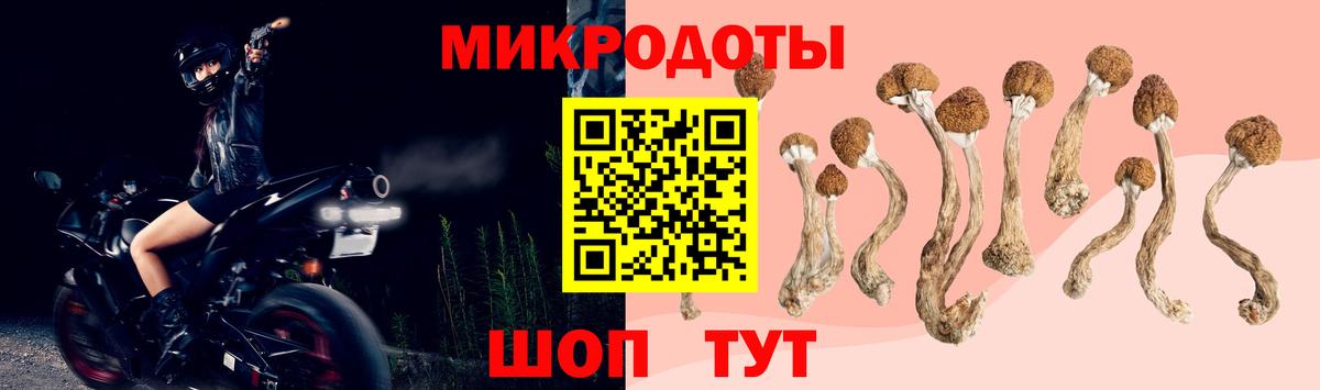 Галлюциногенные грибы мухоморы Кемерово